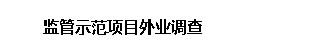 文本框: 监管示范项目外业调查